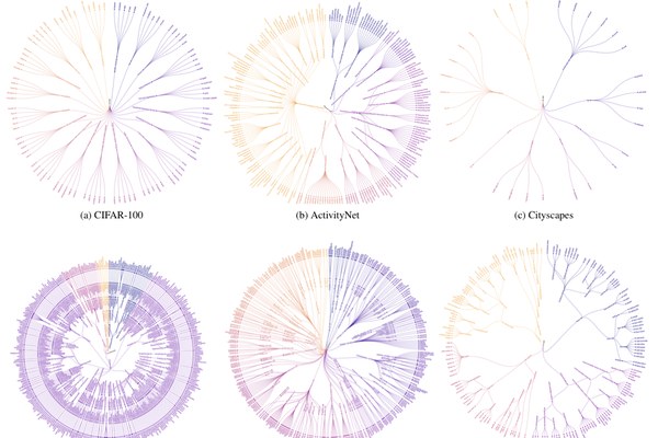 HierVision: hierarchy visualisations for six vision datasets
