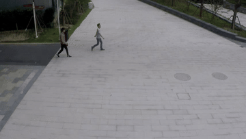 CCTV-like proxy clip: small, low-resolution people